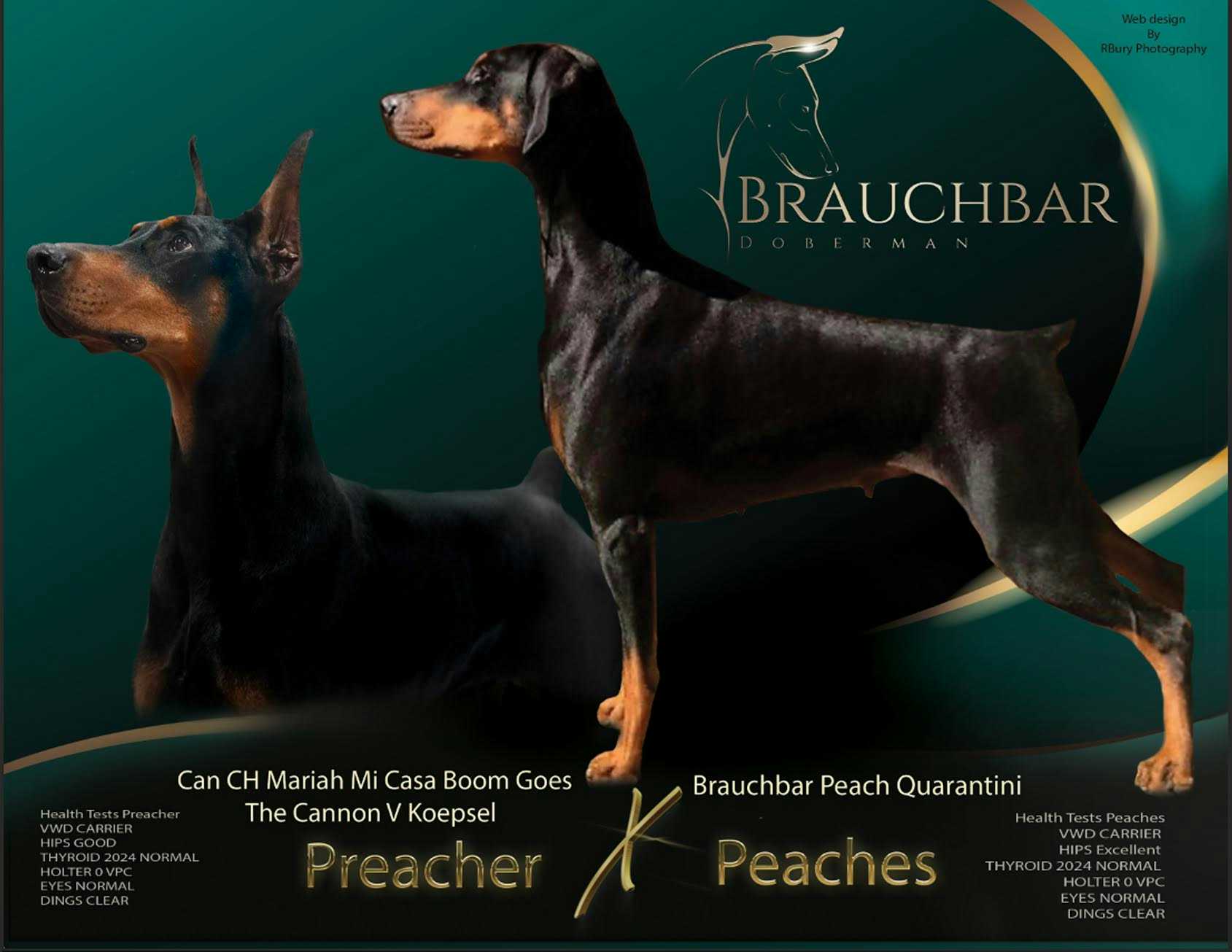Preacher x Peaches litter advertisement 2024