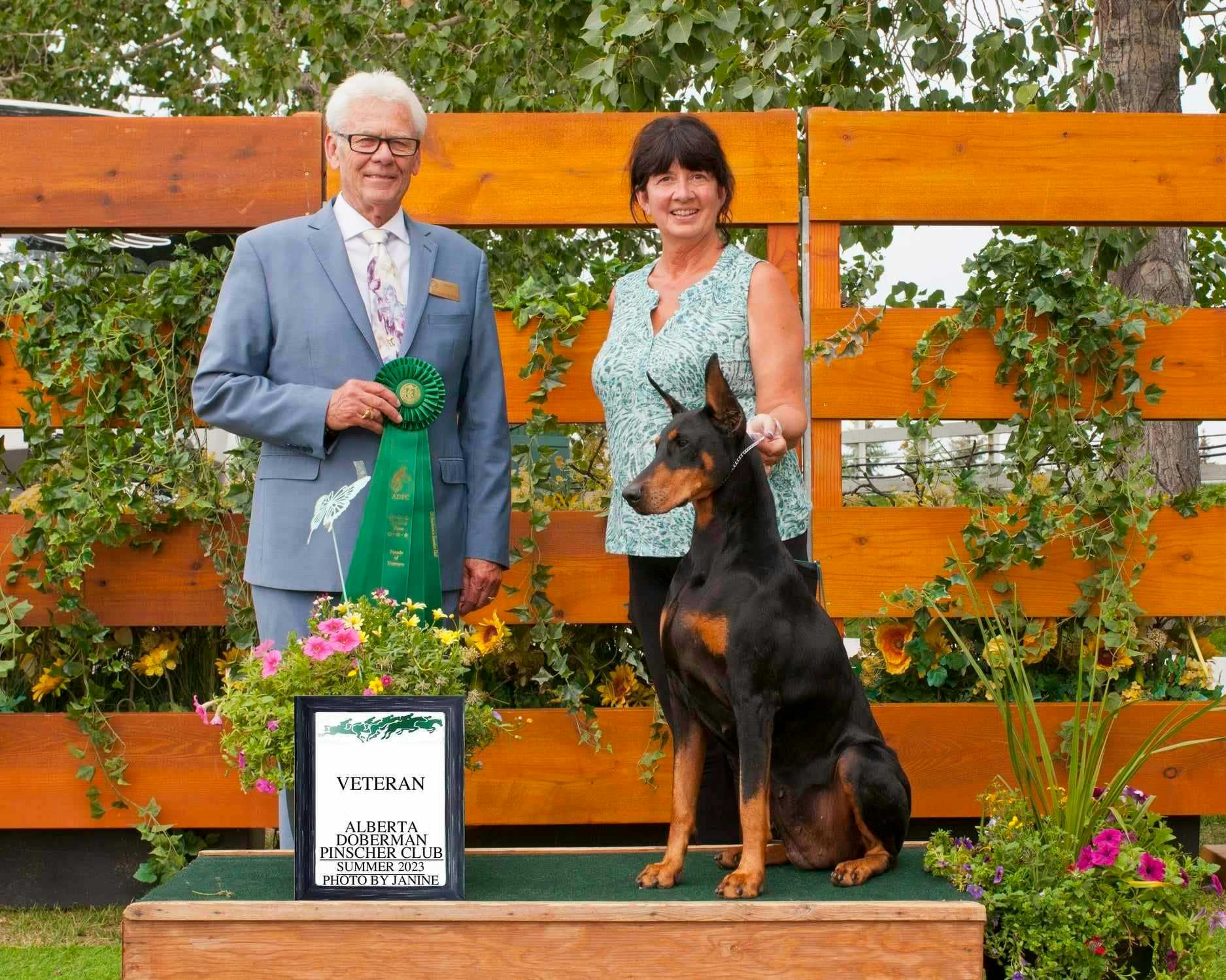 Is the Doberman, the right breed for you?